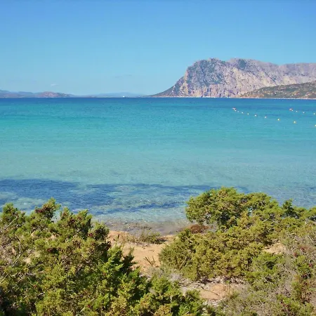 Stunning Bouganvillage N1306 Tanaunella
