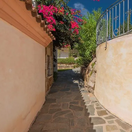 Stunning Bouganvillage N1306 * Tanaunella